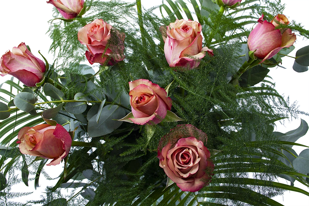 Boeket Rosa Roze Klein 5 Boeket Rosa Roze Klein - Afbeelding 3