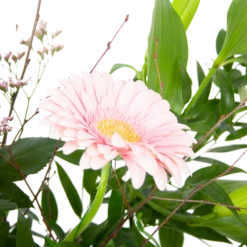 Natur Bloemen Winkel 11 Natur Bloemen Winkel -Natur Bloemen Winkel boeket roze verrassing boeketten 2 2