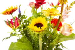 Boeket Vlinder Groot -Natur Bloemen Winkel boeket vlinder boeketten 3 3 1