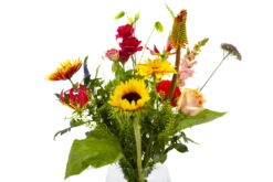 Boeket Vlinder Groot -Natur Bloemen Winkel boeket vlinder boeketten 4 3 1