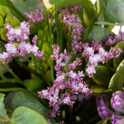 Natur Bloemen Winkel 3 Natur Bloemen Winkel -Natur Bloemen Winkel boeket vrolijk seizoen boeketten 2 1