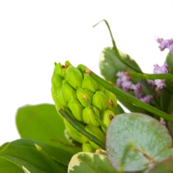 Boeket Vrolijk Seizoen Middel 9 Boeket Vrolijk Seizoen Middel -Natur Bloemen Winkel boeket vrolijk seizoen boeketten 3