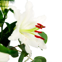 Boeket Witte Winter Klein -Natur Bloemen Winkel boeket witte winter boeketten 4