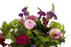 Boeket Zomerbries Klein -Natur Bloemen Winkel boeket zomerbries boeketten 3 5 1