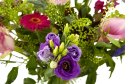 Boeket Zomerbries Middel 11 Boeket Zomerbries Middel -Natur Bloemen Winkel boeket zomerbries boeketten 4 5