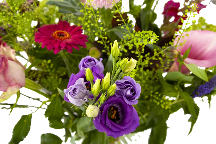 Boeket Zomerbries Middel 6 Boeket Zomerbries Middel - Afbeelding 4