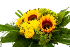 Boeket Zonnetje Klein 10 Boeket Zonnetje Klein -Natur Bloemen Winkel boeket zonnetje boeketten 3 1