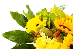 Boeket Zonnetje Groot -Natur Bloemen Winkel boeket zonnetje boeketten 4 1 1