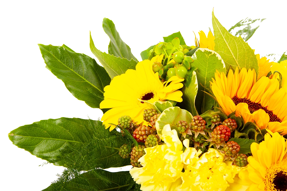 Boeket Zonnetje Klein 6 Boeket Zonnetje Klein - Afbeelding 4