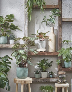 Bloempot Daan - D21.5 X H20.5cm - Blauw -Natur Bloemen Winkel daan pot rond blauw h20 5xd21 5cm bloempot 7 7