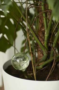 Aqua Care Elho - Transparant -Natur Bloemen Winkel elho aqua care transparant water geven 7 2