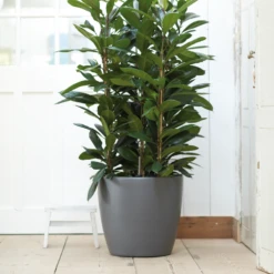 Bloempot Elho Brussels Rond 47cm - Met Wielen - Antraciet -Natur Bloemen Winkel elho brussels rond wielen 47 grijs bloempot 7 7