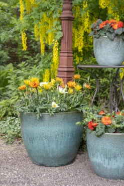 Bloempot Glazed Egg - D48 X H41cm - Groen -Natur Bloemen Winkel glazed egg pot moss green d48h41 bloempot groen 7 6