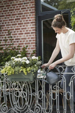 Balkonbak Elho Green Basics XL Allin1 55cm - Bladgroen -Natur Bloemen Winkel green basics balkonbak xl allin1 55cm plantenbak bladgroen 7 14