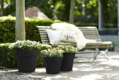 Bloempot Elho Green Basics Top Planter 47cm - Living Black -Natur Bloemen Winkel green basics top planter 47cm bloempot living black 7 13