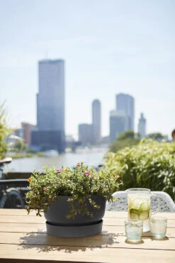 Plantenschaal Elho Greenville 33cm - Living Black -Natur Bloemen Winkel greenville schaal 33cm bloempot living black 6 13