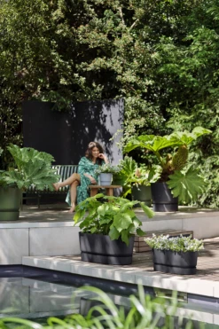 Bloembak Elho Greenville Terrace 80cm - Met Wielen - Living Black 13 Bloembak Elho Greenville Terrace 80cm - Met Wielen - Living Black -Natur Bloemen Winkel greenville terrace trough 80cm wheels plantenbak living black 6 4