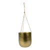 Hangpot Kody - D16 X H18cm - Goud -Natur Bloemen Winkel hanger kody gold d16 h18 hangpot 1 4