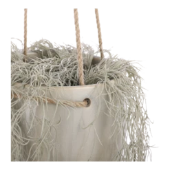 Hangpot Resa - D18,5 X H17cm - Lichtgrijs 9 Hangpot Resa - D18,5 X H17cm - Lichtgrijs -Natur Bloemen Winkel hangpot resa d18 5 x h17cm lichtgrijs hangpot 3 1