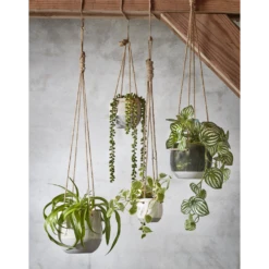 Hangpot Resa - D18,5 X H17cm - Lichtgrijs 11 Hangpot Resa - D18,5 X H17cm - Lichtgrijs -Natur Bloemen Winkel hangpot resa d18 5 x h17cm lichtgrijs hangpot 5 1