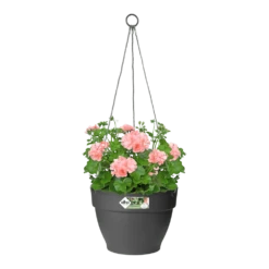 Elho Hangschaal Vibia Campana 26cm - Antraciet -Natur Bloemen Winkel hangschaal vibia campana 26cm antraciet hangpot antraciet 3 1