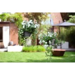 Elho Hangschaal Vibia Campana 26cm - Antraciet -Natur Bloemen Winkel hangschaal vibia campana 26cm antraciet hangpot antraciet 4 1