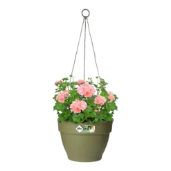 Elho Hangschaal Vibia Campana 26cm - Saliegroen 8 Elho Hangschaal Vibia Campana 26cm - Saliegroen -Natur Bloemen Winkel hangschaal vibia campana 26cm saliegroen hangpot saliegroen 3 1