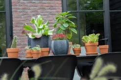 Bloempot Iowa Bullet - D32 X H28.5cm - Donkergrijs 7 Bloempot Iowa Bullet - D32 X H28.5cm - Donkergrijs -Natur Bloemen Winkel iowa bullet graphite d32h285 bloempot 7 9