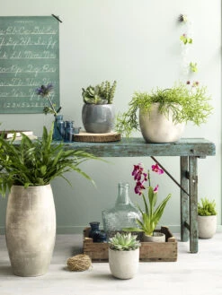 Bloempot Lester Hoog - D30 X H50cm - Donkerblauw -Natur Bloemen Winkel lester vaas rond d blauw h50xd30cm bloempot 6 12