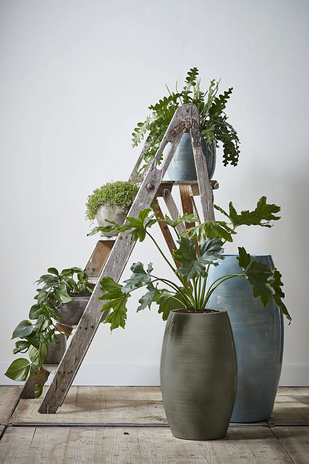 Bloempot Lester Hoog - D30 X H50cm - Groen 4 Bloempot Lester Hoog - D30 X H50cm - Groen - Afbeelding 2