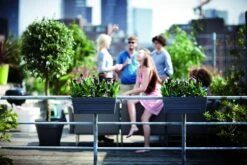 Balkonbak Elho Loft Urban Allin1 50cm - Antraciet 9 Balkonbak Elho Loft Urban Allin1 50cm - Antraciet -Natur Bloemen Winkel loft urban balkonbak allin1 50 plantenbak antraciet 7 13