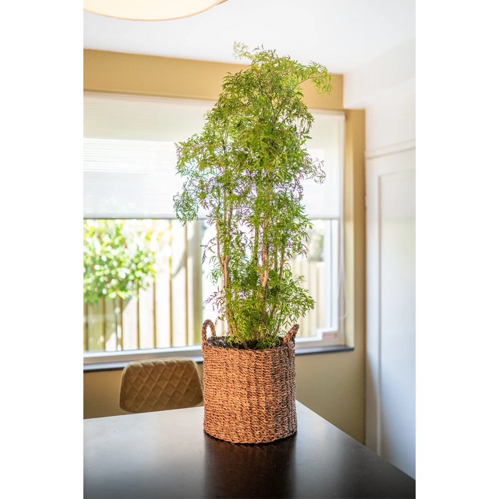 Plantenmand Joris - D42 X H36cm - Camel 4 Plantenmand Joris - D42 X H36cm - Camel - Afbeelding 2