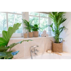 Plantenmand Joris - D30 X H27cm - Naturel 7 Plantenmand Joris - D30 X H27cm - Naturel -Natur Bloemen Winkel plantenmand joris naturel plantenmand 3 2