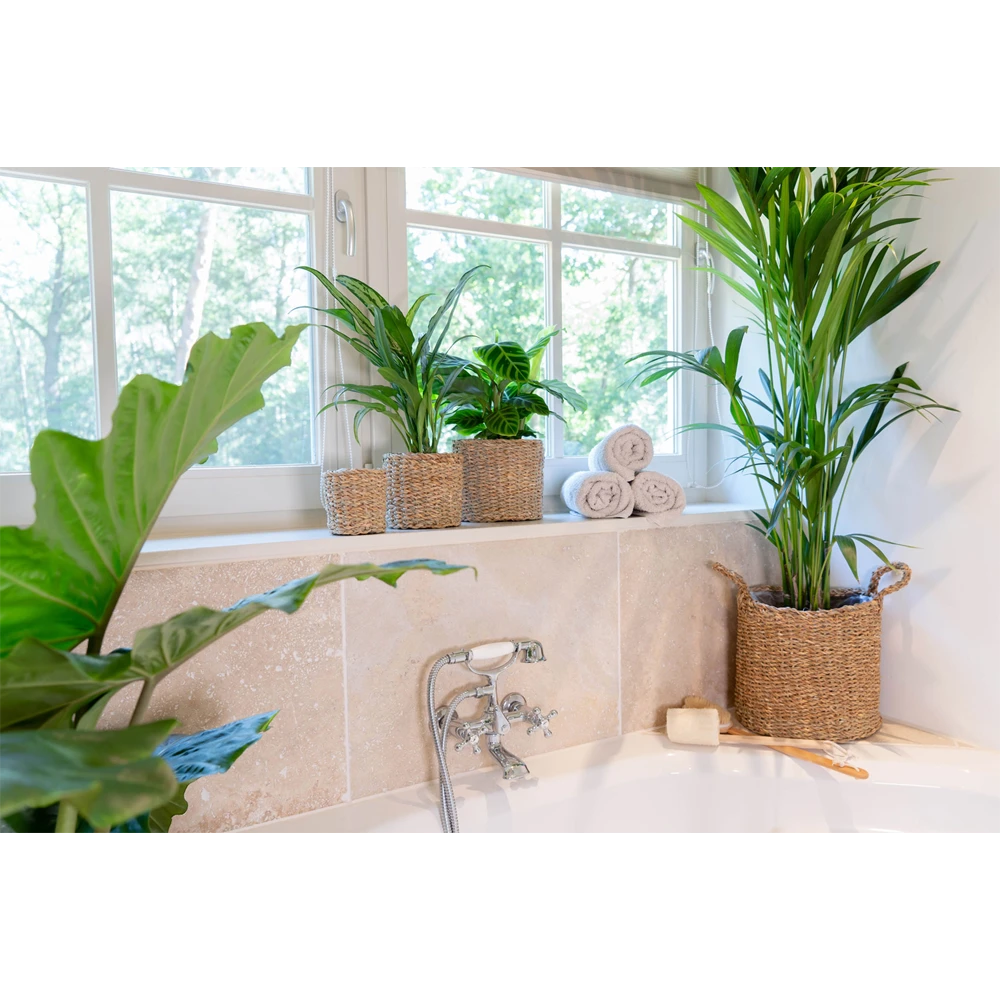 Plantenmand Joris - D42 X H36cm - Naturel 5 Plantenmand Joris - D42 X H36cm - Naturel - Afbeelding 3