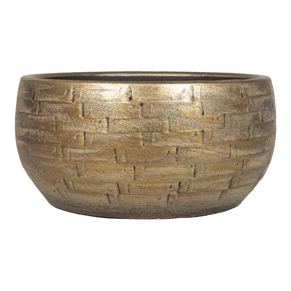 Plantenschaal Steef - D27 X H14cm - Industrieel Goud 3 Plantenschaal Steef - D27 X H14cm - Industrieel Goud