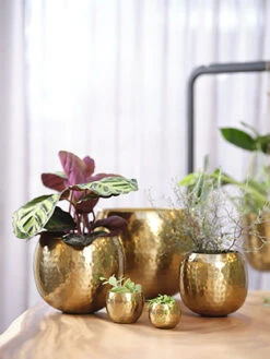 Bloempot Kody Metaal - D21 X H16cm - Goud -Natur Bloemen Winkel pot kody gold metaal d21 h16 bloempot 6 9