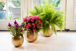 Bloempot Kody Metaal - D21 X H16cm - Goud -Natur Bloemen Winkel pot kody gold metaal d21 h16 bloempot 7 10