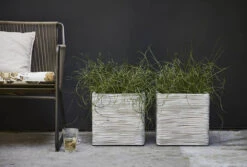 Capi Plantenbak Vierkant Nature Rib NL - L30 X B30 X H30cm - Ivoor 7 Capi Plantenbak Vierkant Nature Rib NL - L30 X B30 X H30cm - Ivoor -Natur Bloemen Winkel pot vierkant rib nl 30x30x30 ivoor plantenbak 7 8