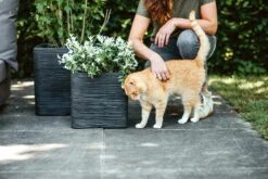 Capi Plantenbak Vierkant Nature Rib NL - L30 X B30 X H30cm - Zwart 7 Capi Plantenbak Vierkant Nature Rib NL - L30 X B30 X H30cm - Zwart -Natur Bloemen Winkel pot vierkant rib nl 30x30x30 zwart plantenbak 7 8