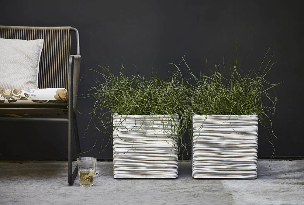 Capi Plantenbak Vierkant Nature Rib NL - L40 X B40 X H40cm - Ivoor 5 Capi Plantenbak Vierkant Nature Rib NL - L40 X B40 X H40cm - Ivoor - Afbeelding 3