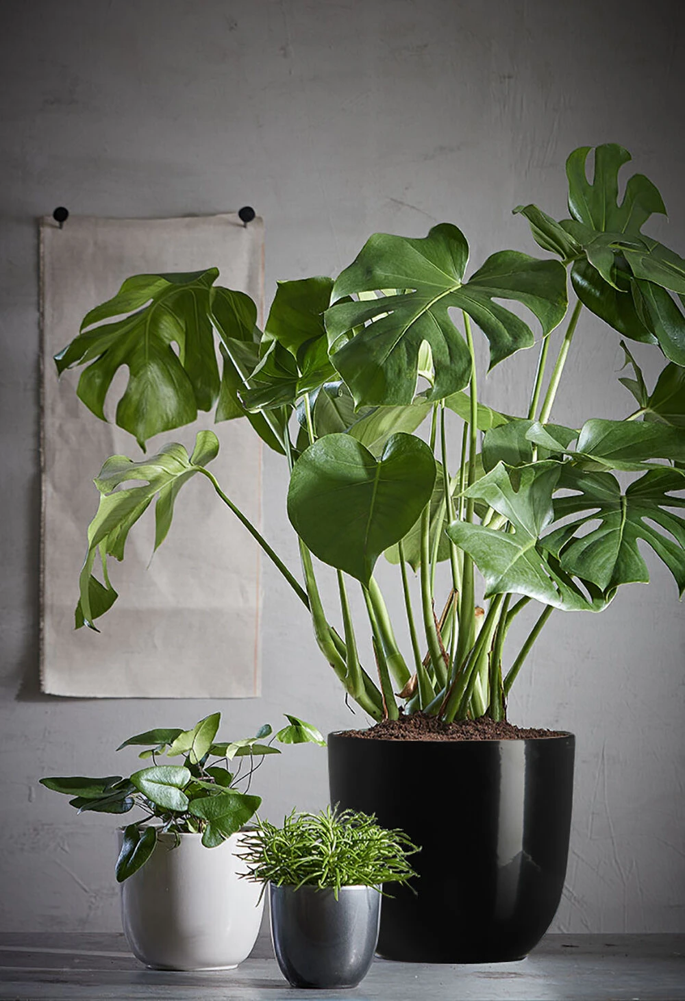 Bloempot Tusca - D28 X H25cm - Zwart 4 Bloempot Tusca - D28 X H25cm - Zwart - Afbeelding 2