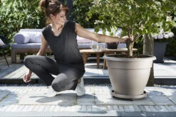 Plantentaxi Elho Universeel 30cm - Antraciet -Natur Bloemen Winkel universele planttaxi 30cm schotel antraciet 6 11