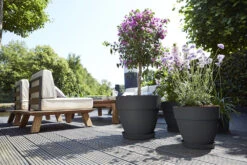 Bloempot Elho Vibia Campana Rond 40cm - Antraciet -Natur Bloemen Winkel vibia campana rond 40 bloempot antraciet 6 11