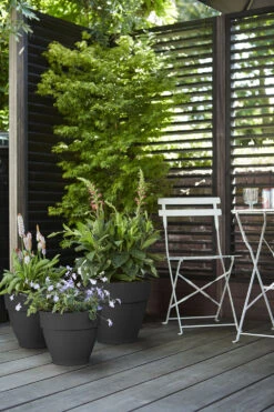 Bloempot Elho Vibia Campana Rond 47cm - Antraciet -Natur Bloemen Winkel vibia campana rond 47 bloempot antraciet 7 11