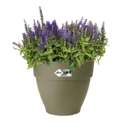 Bloempot Elho Vibia Campana Rond 35cm - Saliegroen 7 Bloempot Elho Vibia Campana Rond 35cm - Saliegroen -Natur Bloemen Winkel vibia campana saliegroen bloempot 2 6
