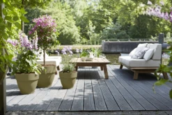 Bloempot Elho Vibia Campana Rond 35cm - Saliegroen 9 Bloempot Elho Vibia Campana Rond 35cm - Saliegroen -Natur Bloemen Winkel vibia campana saliegroen bloempot 4 6