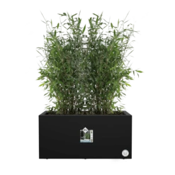Elho Vivo Next Lang Wielen 60cm - Living Black 13 Elho Vivo Next Lang Wielen 60cm - Living Black -Natur Bloemen Winkel vivo next lang wielen 60cm living black 5 1