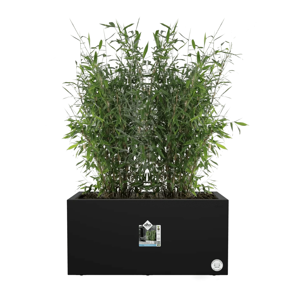 Elho Vivo Next Lang Wielen 60cm - Living Black 7 Elho Vivo Next Lang Wielen 60cm - Living Black - Afbeelding 5