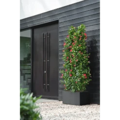 Elho Vivo Next Lang Wielen 60cm - Living Black 14 Elho Vivo Next Lang Wielen 60cm - Living Black -Natur Bloemen Winkel vivo next lang wielen 60cm living black 6 1
