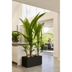 Elho Vivo Next Lang Wielen 80cm - Living Black -Natur Bloemen Winkel vivo next lang wielen 80cm living black 7 1